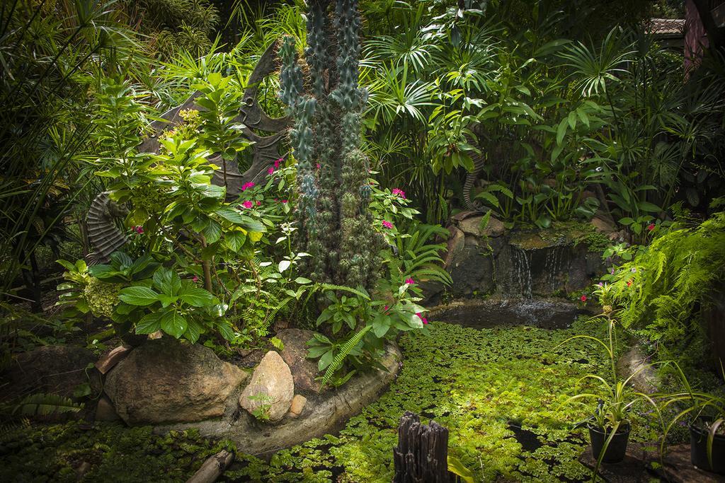 Pousada Fenix Pirenópolis Exterior foto