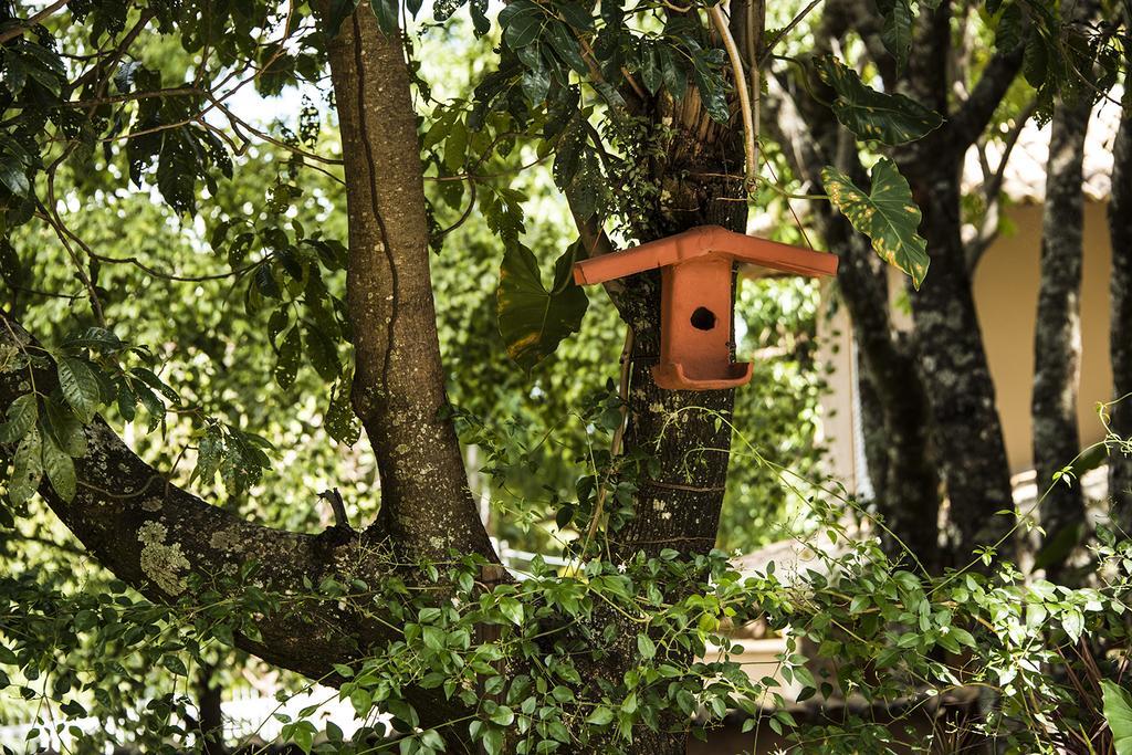 Pousada Fenix Pirenópolis Exterior foto